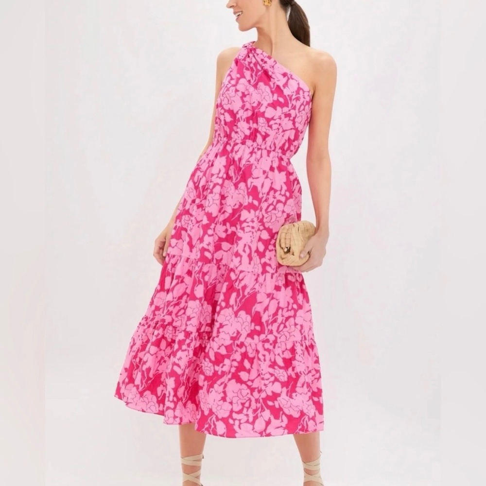 New Hyacinth House Tuckernuck Pink Floral One Shoulder Sybil Maxi Dress Large